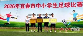 世界杯比赛用球创新充电技术引发关注